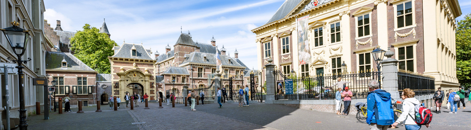 Het Mauritshuis